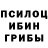 Галлюциногенные грибы Magic Shrooms dmxsam sam