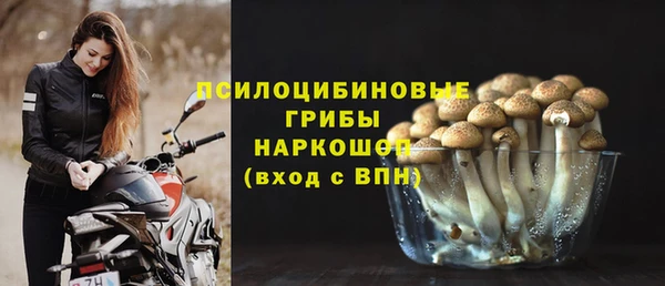 не бодяженный Белокуриха