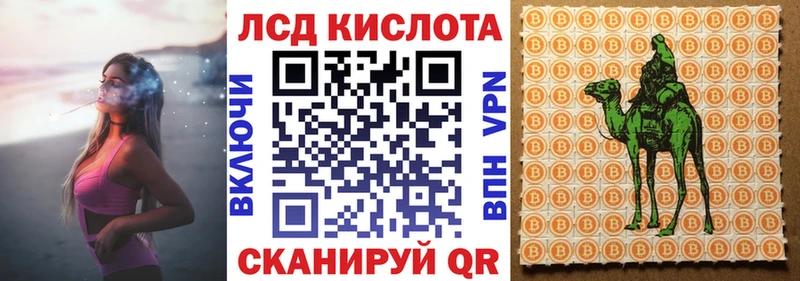 Марки NBOMe 1500мкг  продажа наркотиков  Пионерский 
