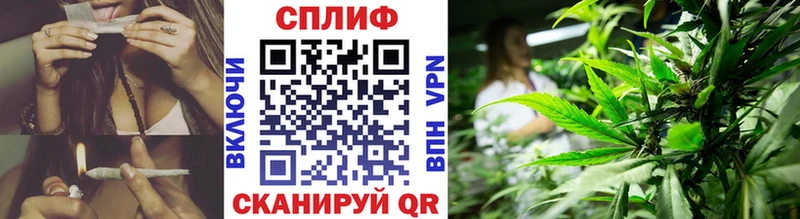 купить закладку  Пионерский  MEGA вход  Канабис конопля 